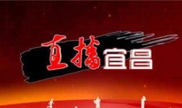 宜昌综合频道在线观看,直播宜昌，尽享精彩瞬间