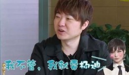 杨迪爆料圈内恋爱,娱乐圈恋爱背后的真实故事